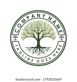 Family Tree of Life stamp seal logo design inspiration