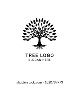 Family Tree of Life Stamp Seal Emblem Oak Banyan Maple logo design vector