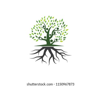 family tree logo template vector illustration