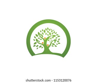 family tree logo template vector illustration