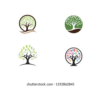 family tree logo template vector illustration