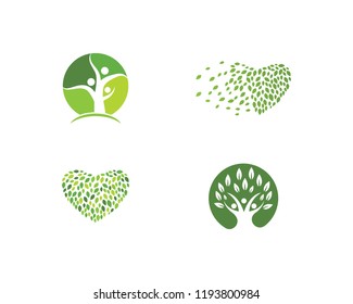 family tree logo template vector illustration
