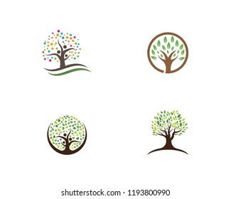 family tree logo template vector illustration