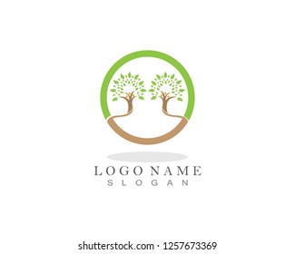 Family Tree Logo template vector icon design
