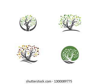 family tree logo template vector illustration