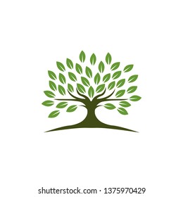 Family Tree Logo template vector icon design - Vector
