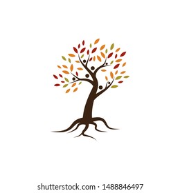 family tree logo template vector illustration