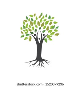 family tree logo template vector illustration
