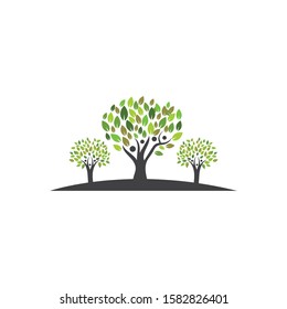 family  tree logo template vector illustration design
