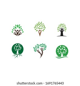 family tree logo template vector illustration
