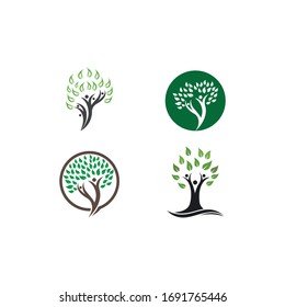 family tree logo template vector illustration