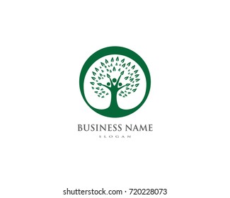 family tree logo template vector illustration