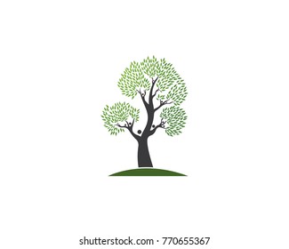 family tree logo template vector illustration