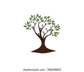 family tree logo template vector illustration
