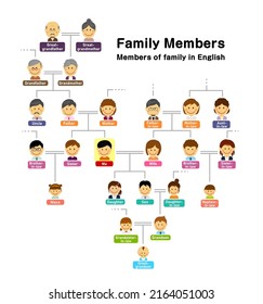 Ilustración vectorial de árbol familiar (miembros de la familia)