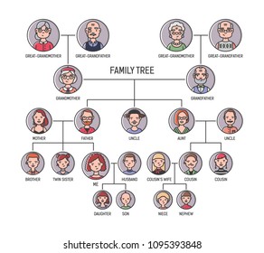 Family tree, pedigree or ancestry chart template. Cute men's and women's portraits in circular frames connected by lines. Links between relatives. Colorful vector illustration in lineart style