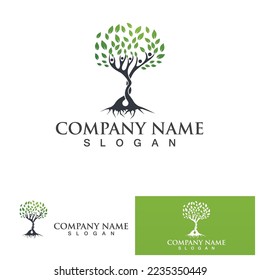 Family tree people logo and symbol