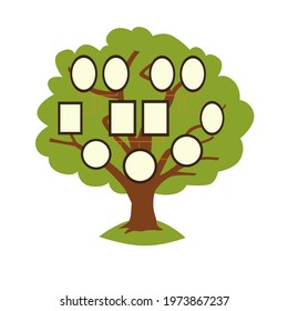 Family tree with photo frames. Genealogical tree for different generations of the family, grandparents, fathers and mothers and children, brothers and sisters. Flat vector illustration