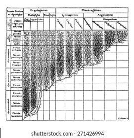 Family tree of the plant kingdom, vintage engraved illustration. Earth before man 1886.