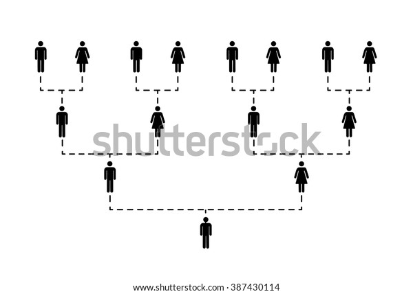 Family Tree Several Generations Isolated On Stock Vector (Royalty Free ...