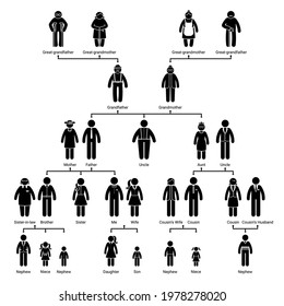 Family tree stick figure people genealogy vector icon set. Stickman human linear structure of family member relations pictogram silhouette on white