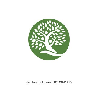 family tree symbol icon logo design template illustration