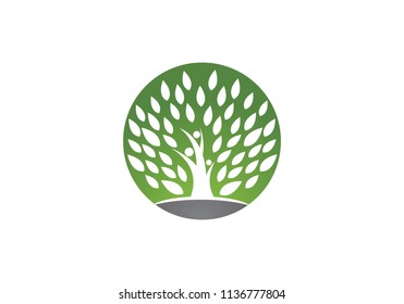 family tree symbol icon logo design template