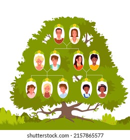 Family Tree Template With Portraits On Branches Vector Illustration. Cartoon Generations From Grandfather And Grandmother, Mothers, Fathers And Siblings Isolated On White. Genealogy Service Concept