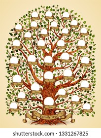 Family Tree template vintage vector illustration