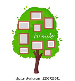 Family Tree Vector Illustration Frames Portraits Stock Vector (Royalty ...