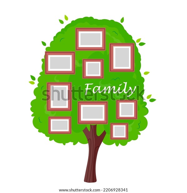 Family Tree Vector Illustration Frames Portraits Stock Vector (Royalty ...