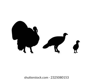 Family of turkey with turkey chick. Symbols of harvest, piligrims and Thanksgiving Day. Vector illustration in silhouette style. Bird meat. Domestic farm animal