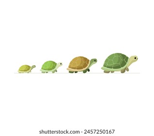 Family of turtle. Holiday. Cute characters. Card. Wild life. Father and mother. Son and daughter. White background. Cartoon objects.