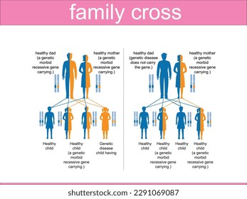 
Genetischer Crossover-Diagramm