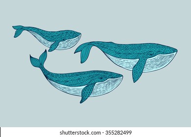 Family whales. Mom, dad and baby whales swimming in the pack. Patterned blue whale silhouette on a blue background. Zentangle stylized set sea animals. Hand Drawn aquatic doodle vector illustration. 