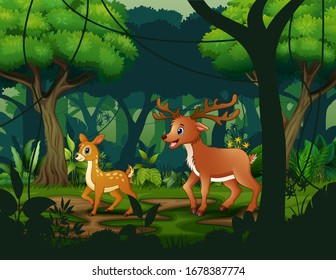 Family wild reindeer in the tropical forest