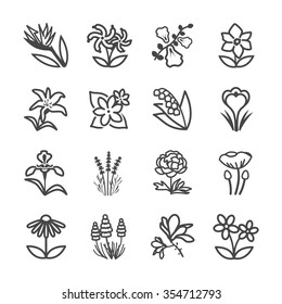 Famous Flower line icons Set 2. Included the icons as plumeria , iris, lily of the valley, poppy, lavender, jasmine and more.