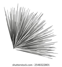 Ventilador de linhas. Vetor geométrico abstrato. Irradiando preto e branco. Ícone de padrão simétrico.