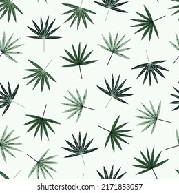 Fan palm branch with green leaves seamless vector pattern. Hand drawn tropical plant with veiny leaves, on a stem. Flat cartoon illustration isolated on white. Exotic tree twig, botanical backdrop