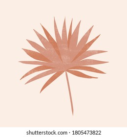 Fan palm leaf hand drawn in vintage style isolated on pink background. 