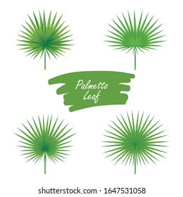 Fan Palm Leaf vector illustration, isolated on white background