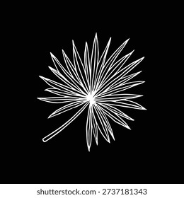 Fan Palm Leaf White Line Art on Black Background Minimal Tropical Botanical Illustration