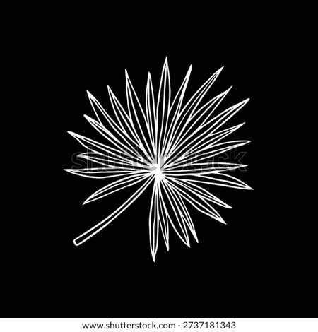 Fan Palm Leaf White Line Art on Black Background Minimal Tropical Botanical Illustration