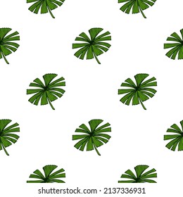 Fan palm leaves seamless pattern on. Vintage foliage of palmetto in engraving style. Hand drawn repeat texture for fabric, wallpaper, textile, print, wrapping paper. Vector illustration.