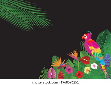 Fancy bird background with tropical flowers and leaves and parrots. Vector illustration 