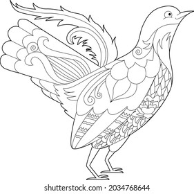 Fancy bird grouse. Black and white picture. Contour linear illustration for coloring book with paradise birds. Line art design for adult or kids  in zentangle style and coloring page.