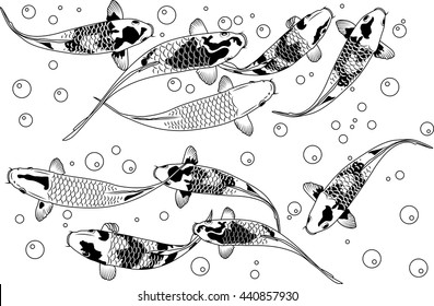 fancy carp fish swimming background, tattoo, illustration