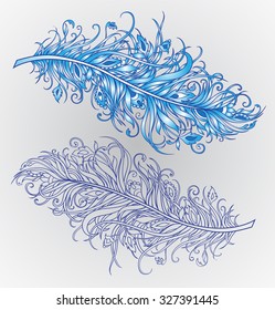 Fancy gentlest a feather in blue tones and its contours separately 