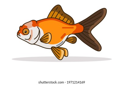 142 Oranda goldfish vector Images, Stock Photos & Vectors | Shutterstock