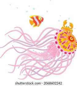 Fancy jellyfish wit long stinging tentacles, a small crab and a striped butterfly fish traveling in a tropical sea, vector cartoon illustration isolated on a white background